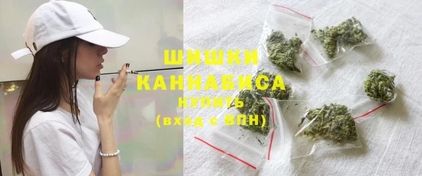 крисы Абаза