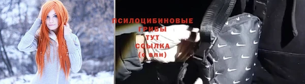 крисы Абаза