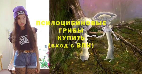 дживик Абинск
