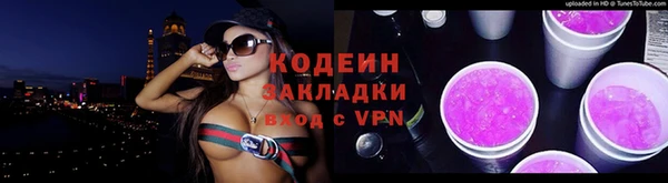 крисы Абаза