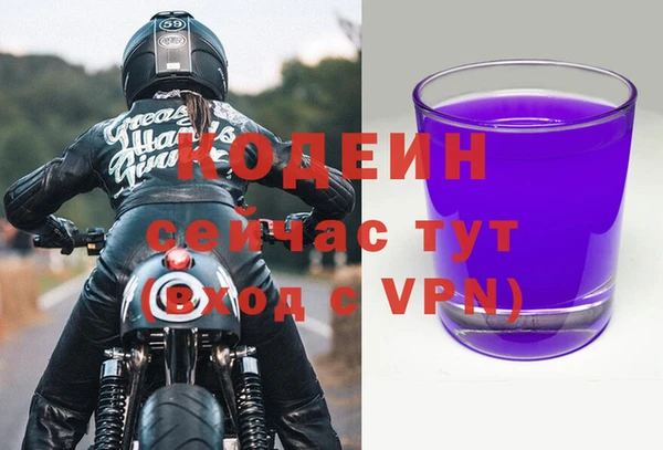 крисы Абаза