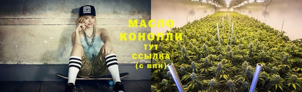 дживик Абинск