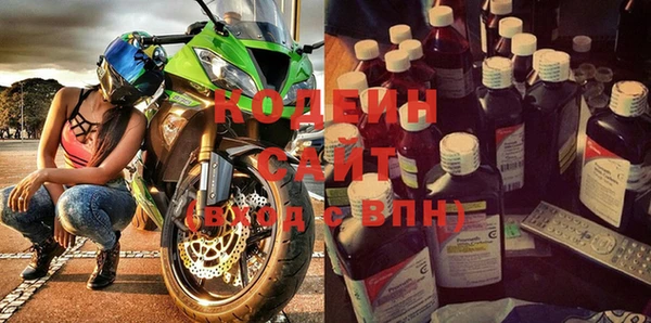 крисы Абаза