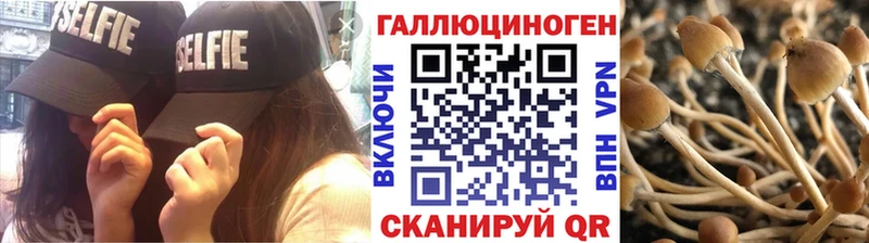 цены наркотик Сусуман Псилоцибиновые грибы Magic Shrooms