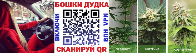 Конопля VHQ  цена наркотик  Сусуман 